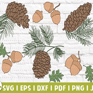 Pinecones and Acorns EPS | Fall Season SVG | Fall Harvest | Farmhouse | SVG Cut Files | Instant Download | Printable Vector Clip Art