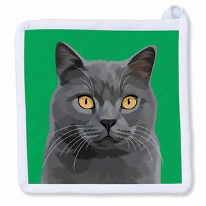 May include: A gray cat with yellow eyes looking directly at the camera. The cat is on a green background.