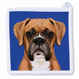 May include: A brown and white boxer dog with a serious expression, looking directly at the camera. The dog is on a blue background.