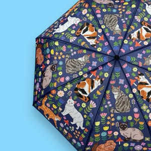 Special Edition: Spring KittyCat Umbrella