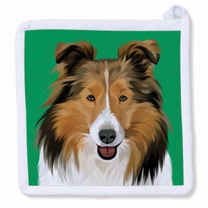 Könnte beinhalten: Nahaufnahme eines braunen und weißen Collie-Hundes vor grünem Hintergrund. Der Hund schaut direkt in die Kamera, mit leicht geöffnetem Maul und zeigt seine Zunge.