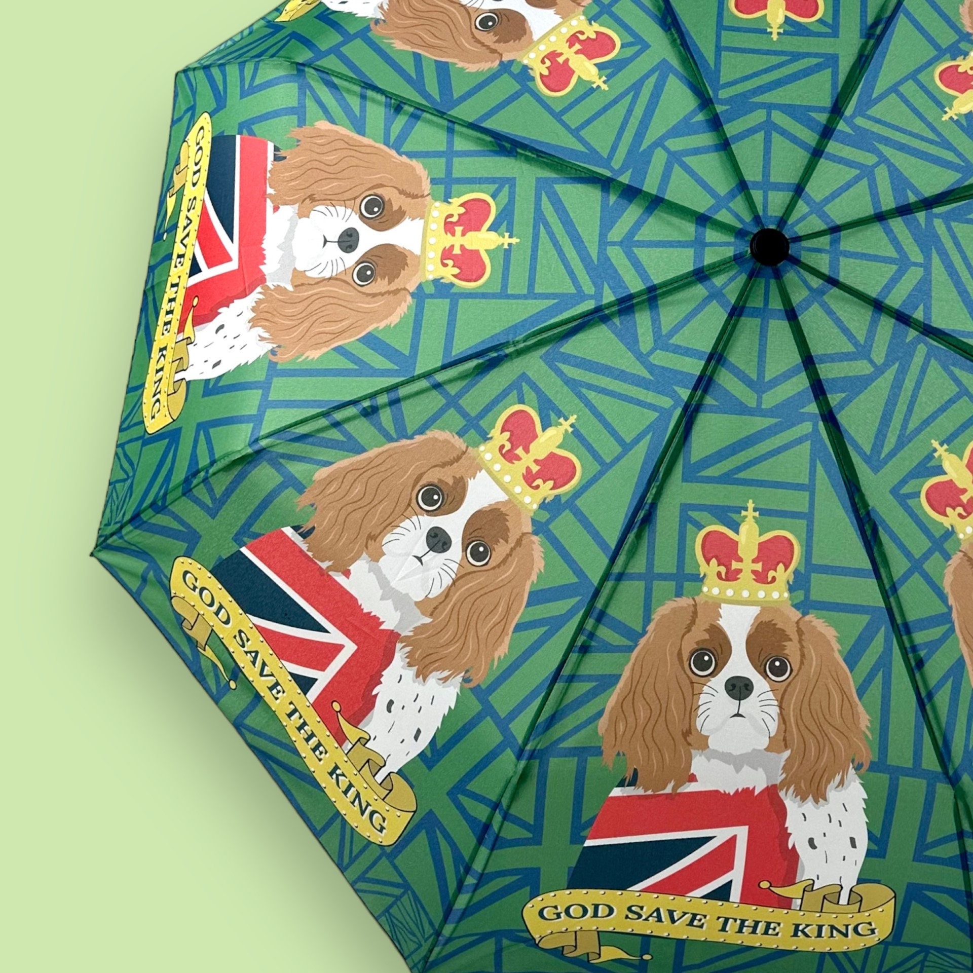 Cavalier King Charles Umbrella - Semi Automatic PP Cavalier King Charles Umbrella - Semi Automatic PP