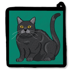 May include: A black cat with yellow eyes sits on a teal green background. The cat is looking directly at the viewer.