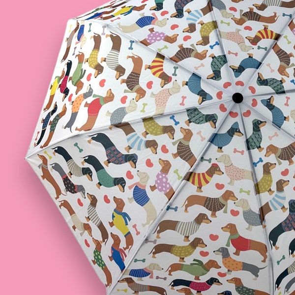 Parapluie Teckel Doxies Nation