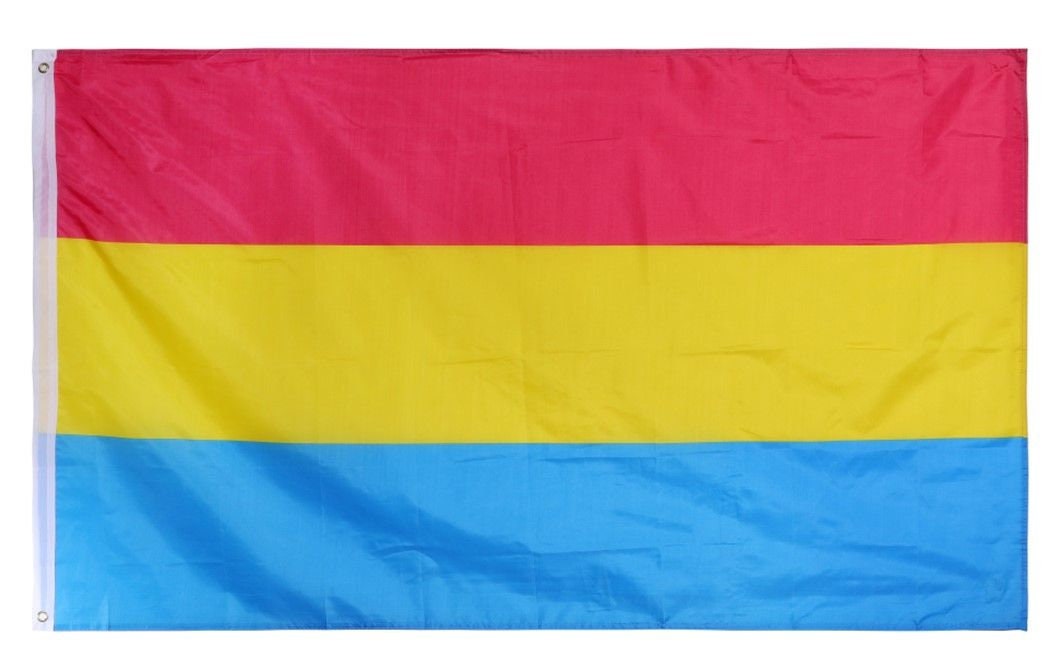5ft X 3ft Pansexual Flag - Etsy