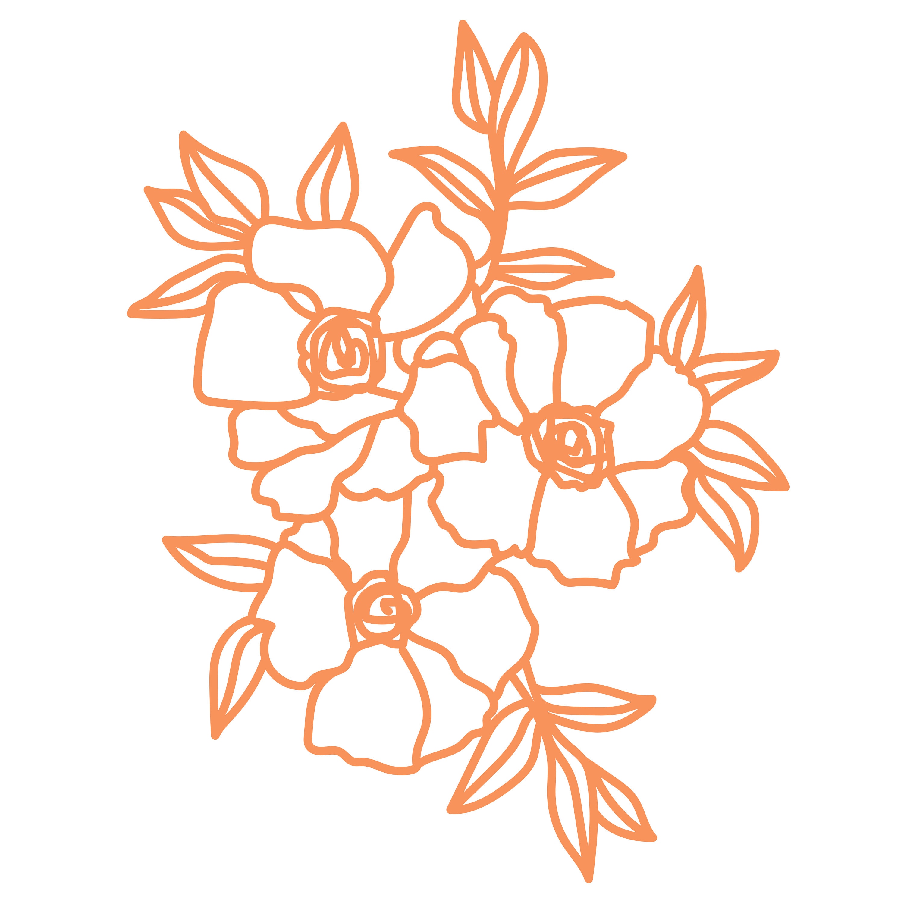 Free Free 61 Poppy Flower Svg Free SVG PNG EPS DXF File