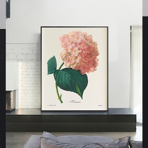 Hortensia Flower，Vintage poster,home office decor,canvas art,Giclee,Painting,Canvas Reproduction,art prints,giclee print in various sizes