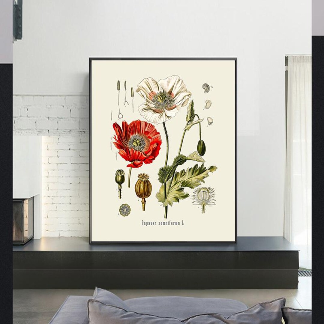 Vintage Botanical Print Set,vintage Poster,canvas Wall Art,giclee ...