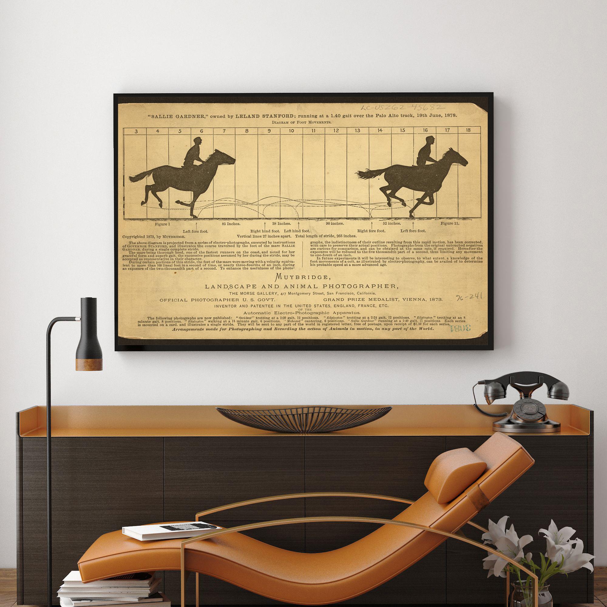 アート・デザイン・音楽 Eadweard Muybridge. アート・デザイン・音楽 exclusive アート・デザイン・音楽 exclusive