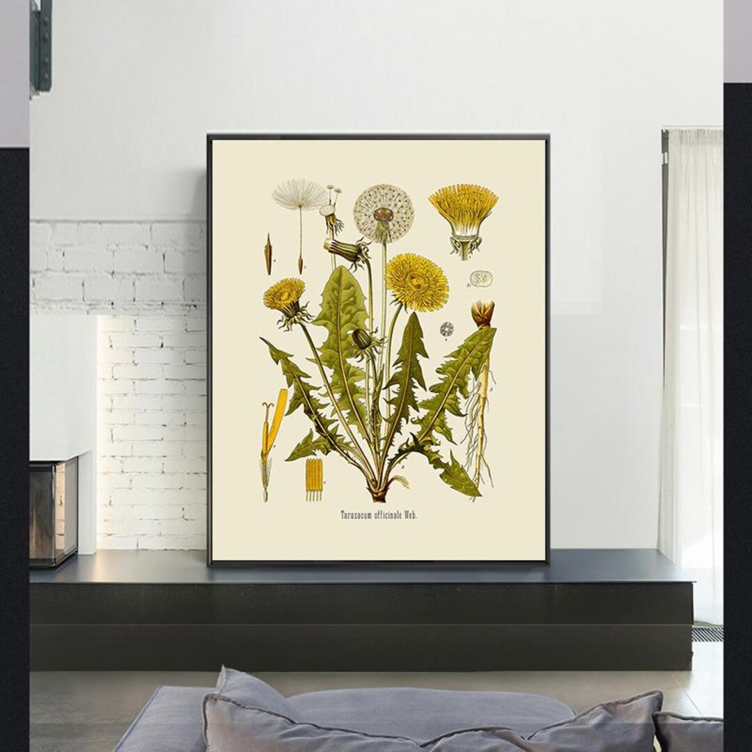 Vintage Botanical Print Set,vintage Poster,canvas Wall Art,giclee ...