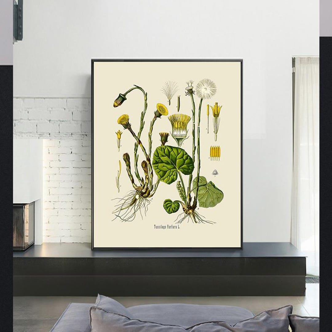 Vintage Botanical Print Set,vintage Poster,canvas Wall Art,giclee ...
