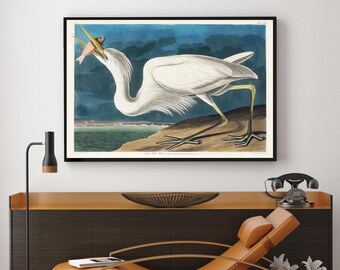 Czapla biała z Ptaków Ameryki autorstwa Johna Jamesa Audubona - plakat vintage, wydruki artystyczne, sztuka ścienna vintage, wydruk giclee w różnych rozmiarach