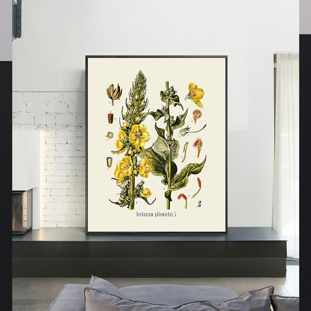 Vintage Botanical Print Set,vintage Poster,canvas Wall Art,giclee ...