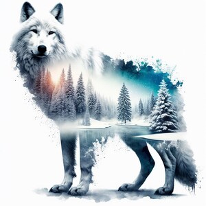 wolf with winter scene