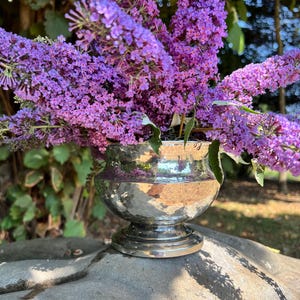 Könnte beinhalten: Eine silberfarbene Metallvase mit gehämmertem Design und einem Sockelfuß, gefüllt mit einem großen, dichten Arrangement aus leuchtend violetten Schmetterlingsfliederblüten mit kleinen, gruppierten Blütenblättern und grünen Blättern.