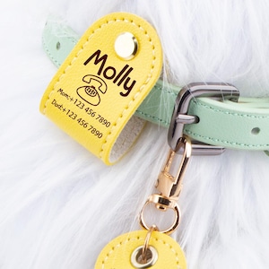 Personalized Pet Name Tags,Dog Tags,Dog Collar Tag,Custom Dog Tag,Silent Dog Tag,Cat Collar Tag,Personalized Dog Gifts,Cat Lover Gift