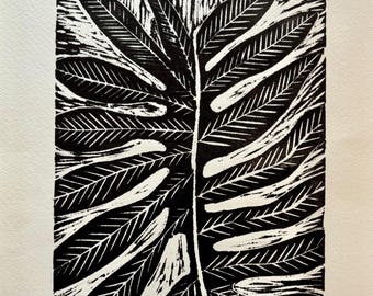 Sensi Fern