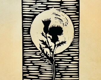 Moon Thistle