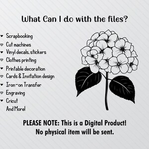 Hydrangea Flower SVG Bundle: Silhouette Clipart (PNG, Vector) - Etsy