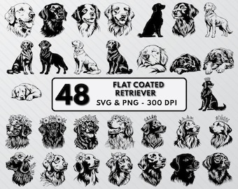 Flat Coated Retriever SVG: Dog Breed Clipart, Outline Vectors (PNG)