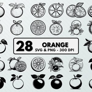 Puede incluir: Un conjunto de 28 ilustraciones en blanco y negro de naranjas. Las ilustraciones incluyen naranjas enteras, rodajas de naranja y naranjas con hojas. El texto "28 ORANGE SVG & PNG - 300 DPI" está en la parte inferior de la imagen.