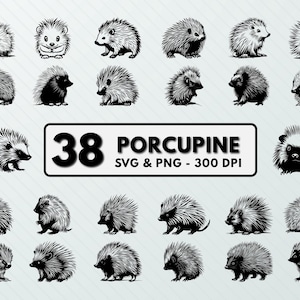 Porcupine Svg Png, Porcupine Clipart, Porcupine Silhouette, Porcupine Vector, Porcupine Cut File, Porcupine Decal, Cricut, Porcupine Designs