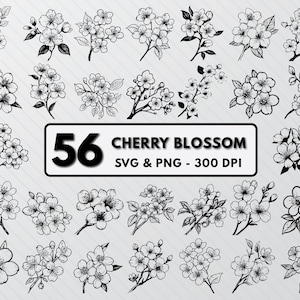 桜のSVGバンドル、桜の花のシルエット、桜のクリップアートPNG、花のアウトラインSVG、桜のベクター、桜の花PNGSVG