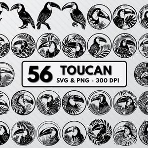 Toucan Silhouette SVG Bundle: Tropical Bird Clipart (PNG, Vector)