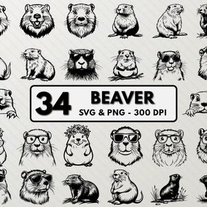 Beaver Svg Bundle, Beaver Silhouette Art, Beaver Svg Vector, Beaver Line Art Clipart Png, Beaver Outline Decal, Beaver Cut Files For Cricut