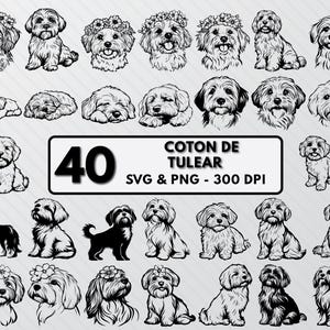 Coton De Tulear Svg Bundle, Coton De Tulear Silhouette, Coton Dog Png Clipart, De Tulear Coton Decal Outline, Coton Dog Breed Vector Cricut.