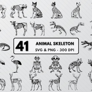 Animal Skeleton Svg Bundle, Skeleton Silhouette Png, Skeleton Design Svg Png Clipart Decal, Anatomy Animal Bones Svg Outline Cut File Vector