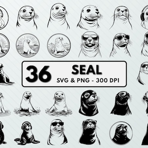 Seal PNG, Seal Clipart, Seal SVG, Seal Decor, Seal Cutting, Seal Silhouette, Seal vector, Seal Circuit, Seal logo, seal cute digital file
