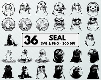 Seal Clipart, Sea Mammal SVG PNG Bundle (Digital Download)