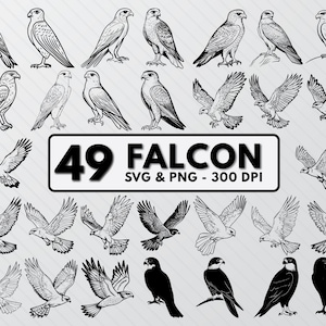 Falcon Bird Silhouette, Falcon Svg Bundle Cut File, Falcon Clipart, Falcon Png Icon, Birds Decal Outline, Falcon Birds Cricut Vector Art Png