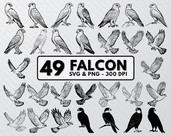 Falcon Silhouette SVG Bundle: Bird Clipart, Decal, Cricut Vector (PNG)