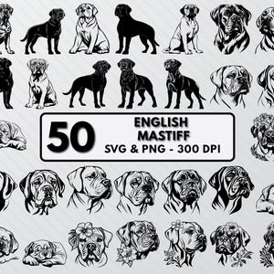 English Mastiff Svg Bundle, Mastiffs Silhouette, Mastiffs Decal Vector, Dog Breed Png, Mastiff English Clipart, Outline Cut Files For Cricut