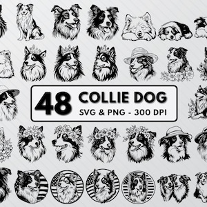 Collie Svg Bundle, Collie Dog Silhouette, Collie Puppies Png Clipart, Collie Decal Outline, Dogs Breed Vector, Collie Svg Cut Files Cricut