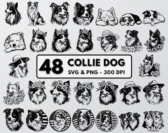 Collie Dog SVG Bundle: Silhouette Clipart, Vector Cut Files (PNG, SVG)