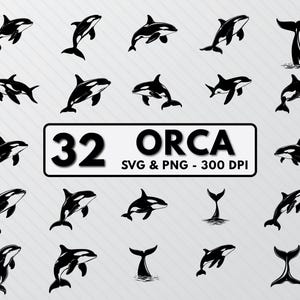 May include: A set of 32 black and white orca whale silhouette SVG and PNG files, perfect for crafting and design projects. The text "32 ORCA SVG & PNG - 300 DPI" is displayed on a black rectangle.