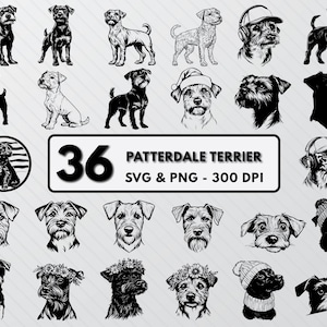 Patterdale Terrier SVG-Bundle, Patterdale Terrier Hund Silhouette, Patterdale Terrier Png-Aufkleber, Terrier Hunderasse Clipart, süße Welpen SVG.