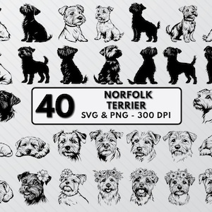 以下が含まれることがあります： 40種類の黒と白のノーフォークテリアの犬のイラストのセット。イラストはさまざまなポーズで、さまざまなヘッドショット、全身ショット、遊び心のあるポーズが含まれています。イラストは、クラフトプロジェクト、スクラップブッキング、デジタルデザインでの使用に最適です。