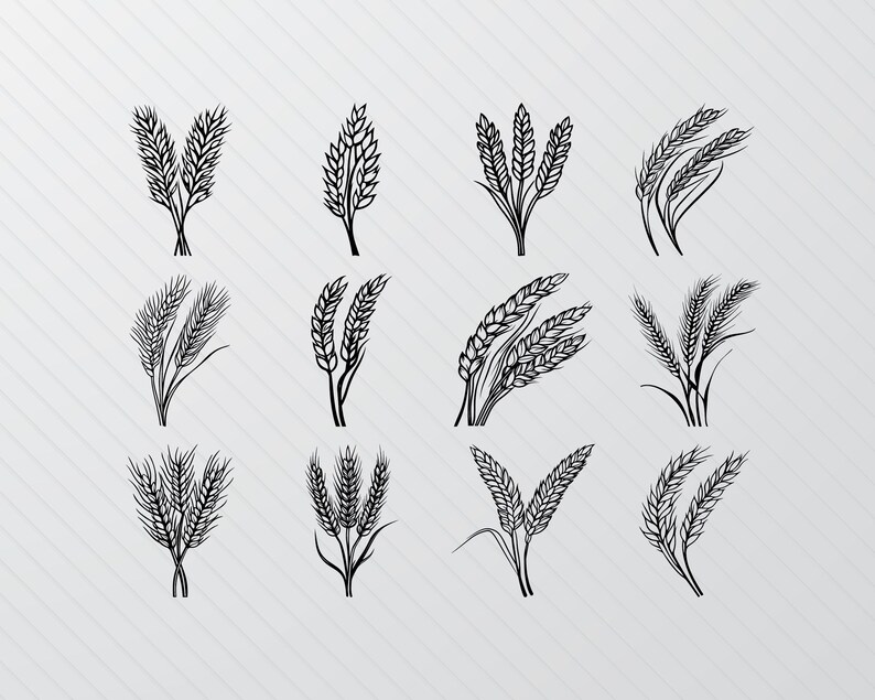 Wheat Silhouette SVG Bundle: Grain Stalk Clipart (PNG Vector) Etsy