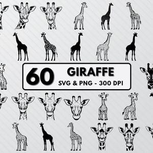 Giraffe Svg Cut Files, Giraffe Silhouette Png, Giraffe Head Vector, Cute Giraffe Animal Png Logo Clipart Outline, Giraffe Cricut Decal Icon