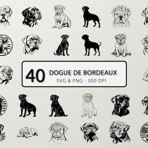 Dogue de Bordeaux SVG Bundle: French Mastiff Clipart, Dog Silhouette (PNG)