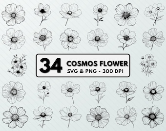 Cosmos Flower SVG PNG: October Birth Flower, Floral Vector (Cut File)