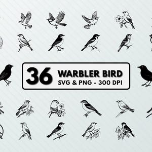 Könnte beinhalten: Ein Set mit 36 Schwarzweiß-Vektorillustrationen von Laubsängern in verschiedenen Posen. Die Illustrationen sind in einem einfachen, stilisierten Design gehalten und eignen sich perfekt für die Verwendung in Bastelarbeiten, Scrapbooking oder digitalem Design.