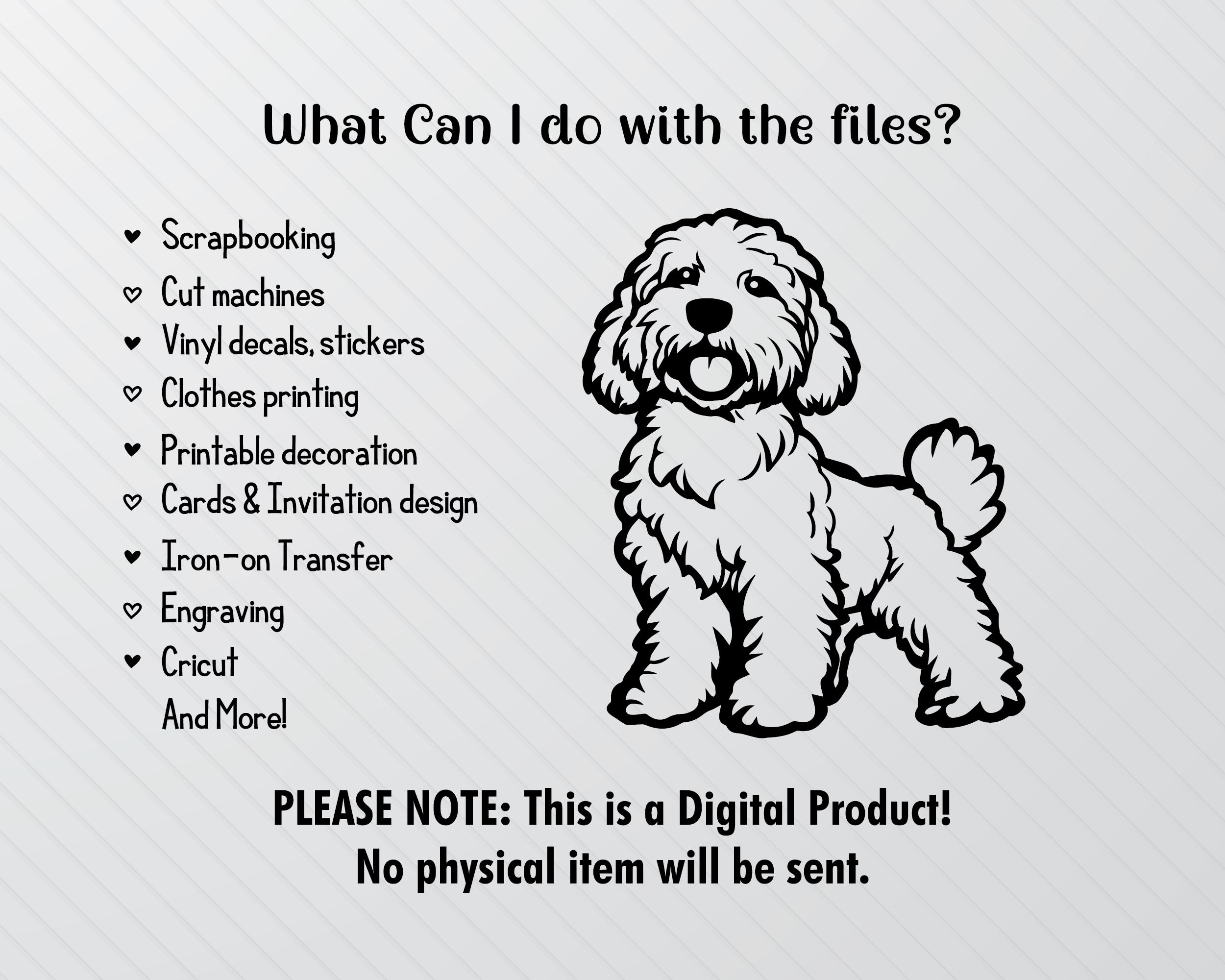 Pyredoodle Dog SVG Bundle: Silhouette Clipart (PNG, Vector) - Etsy