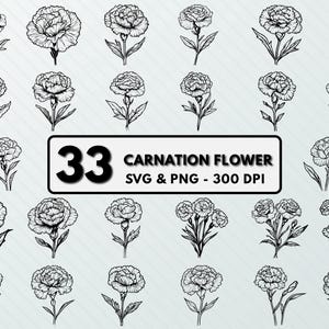 Peut inclure: Un ensemble de 33 dessins au trait en noir et blanc de fleurs d'œillets. Les fleurs sont à différents stades de floraison et sont disposées en grille. Le texte "33 CARNATION FLOWER SVG & PNG - 300 DPI" est en bas de l'image.