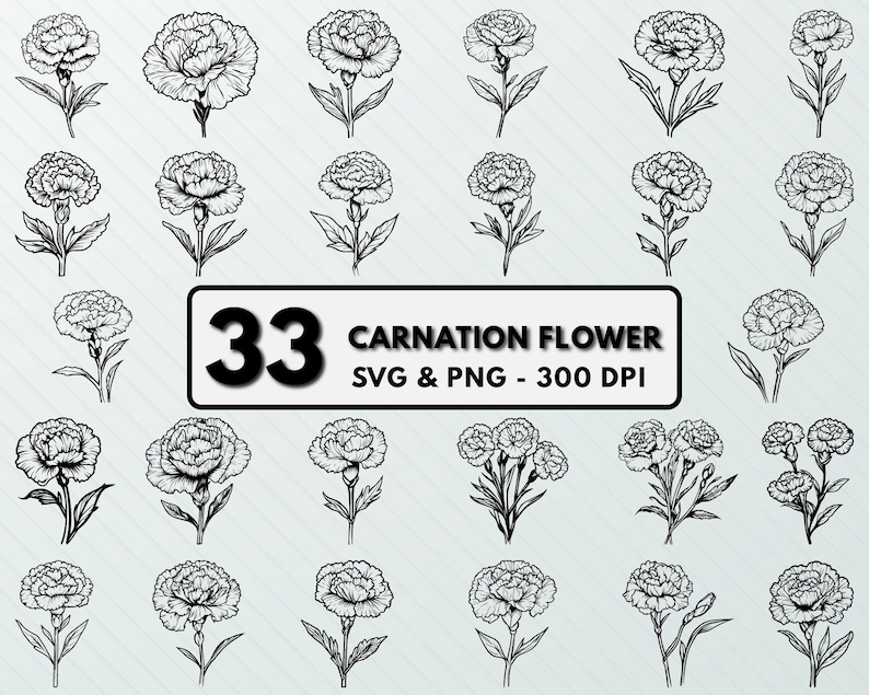Carnation Flower SVG: Floral Clipart, Vector Cut File - Etsy