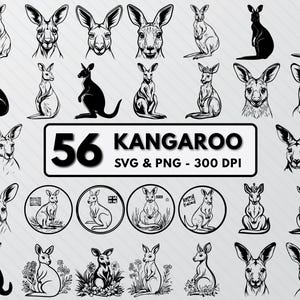 May include: A set of 56 black and white vector illustrations of kangaroos in various poses. The illustrations are in a simple, minimalist style and are perfect for use in crafts, scrapbooking, or digital design. The text "56 Kangaroo SVG & PNG - 300 DPI" is included in the image.